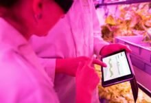 empower your digital development