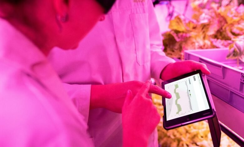 empower your digital development