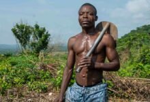 enhance your digital growth